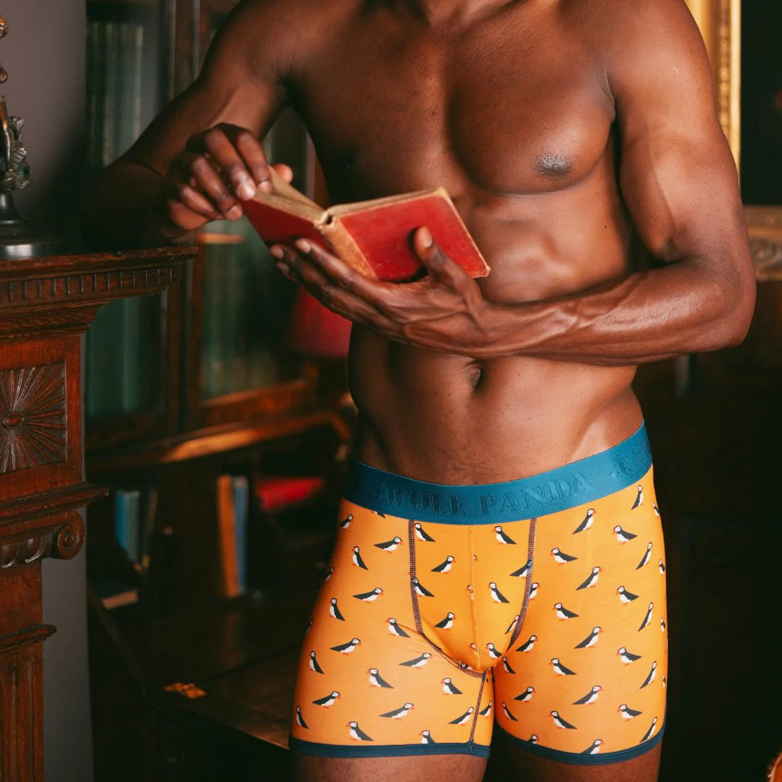 Boxershorts Bambus Papageientaucher SWOLE PANDA